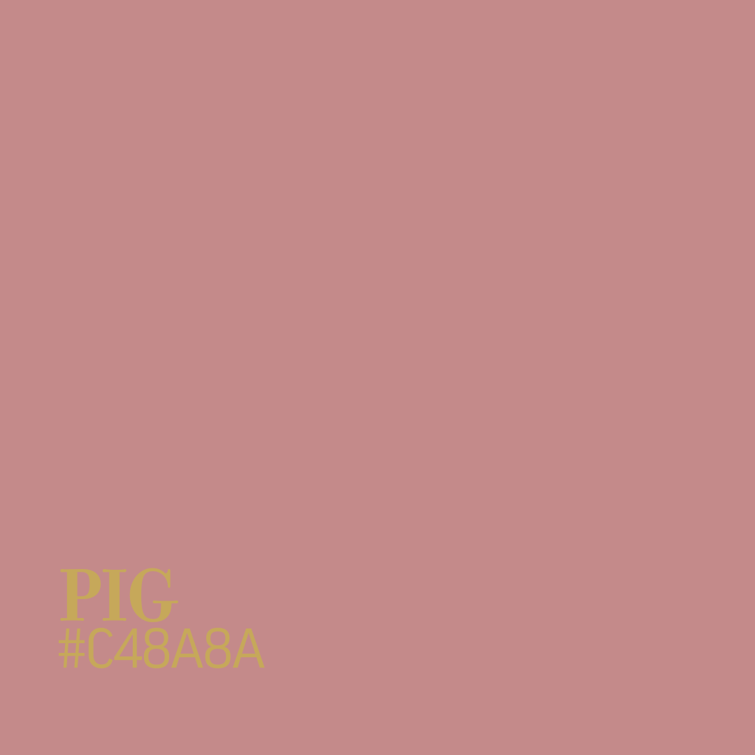 Pig