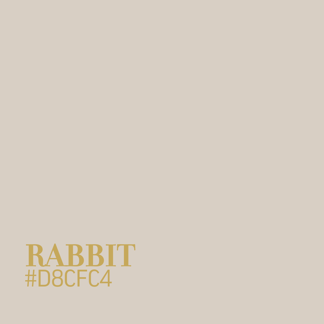 Rabbit
