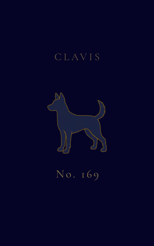 CLAVIS Dog No.169 — Deep Navy on Midnight Navy