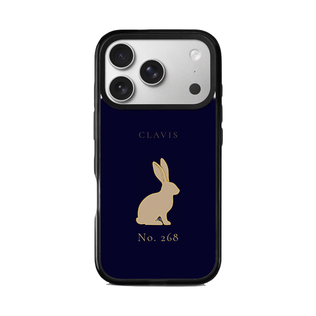 Rabbit No.268